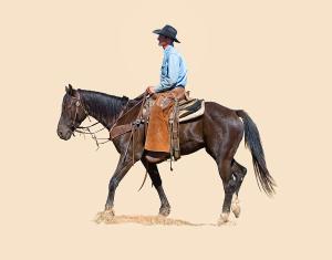 an-american-cowboy-dewain-maney