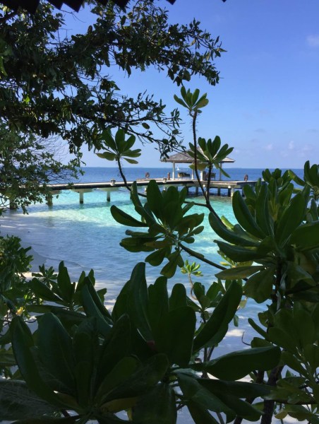 Un angolo di paradiso